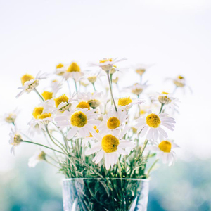 男男Gay✅✅免费网站灌奶动漫
